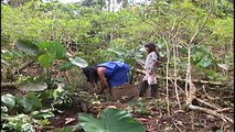 Amazonía Ecuador: Derechos Colectivos de Pueblos Indígenas - Ivette Vallejo- Video 24 © TRAFFIC