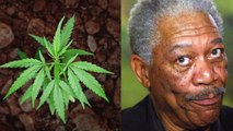 Morgan Freeman plea for pot legalization: 'I'll Eat It, Drink It, Smoke It, Snort It'