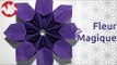 Origami - Fleur Magique - Magic Flower [Senbazuru]