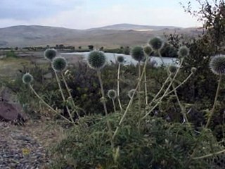 Stranén Êrivané 3 - Emer Ağa