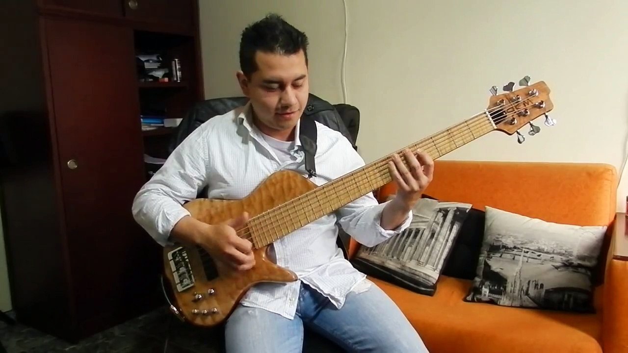 BAJO ELÉCTRICO SLAP HOLDAN BASS