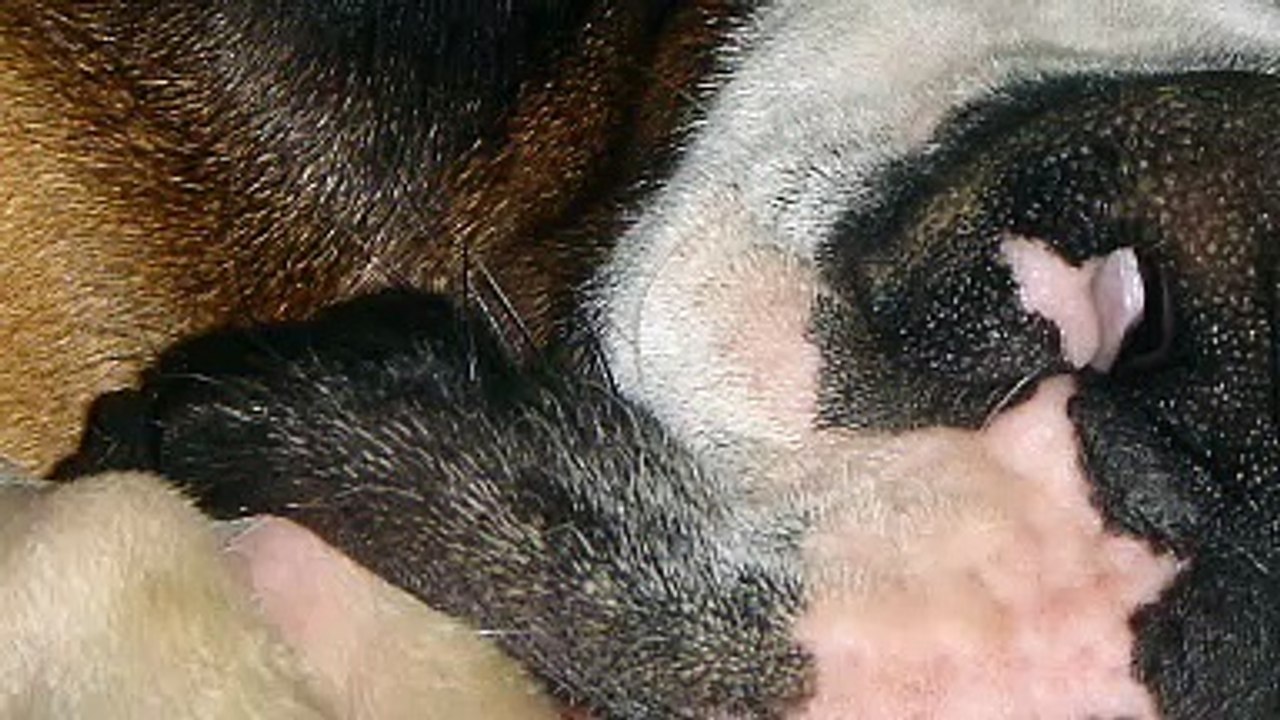 Un livre, Un jour : Lune de Miel de Cavanna