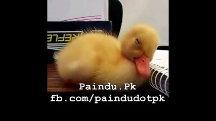 When its impossible to stay awake in classroom