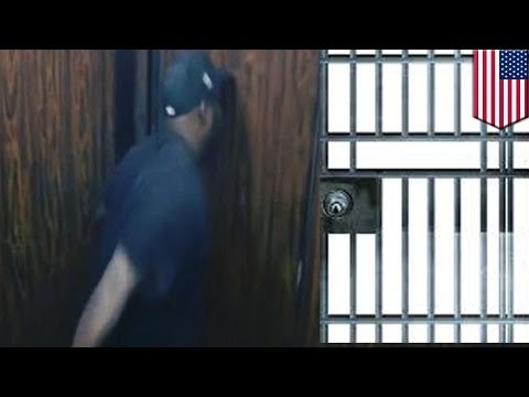 Robbery fail caught on tape: Thief trapped in elevator with victim for very awkward ride - TomoNews