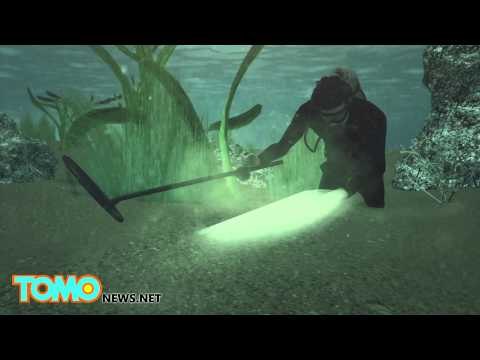 Captain Kidd’s treasure found: divers find silver belonging to Pirate Captain Kidd - TomoNews