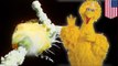 Sesame Street's Big Bird cheated death, was set to fly on doomed Challenger space shuttle -TomoNews
