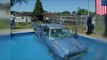 Dog driving car: Cute black lab crashes pickup truck into swimming pool - TomoNews