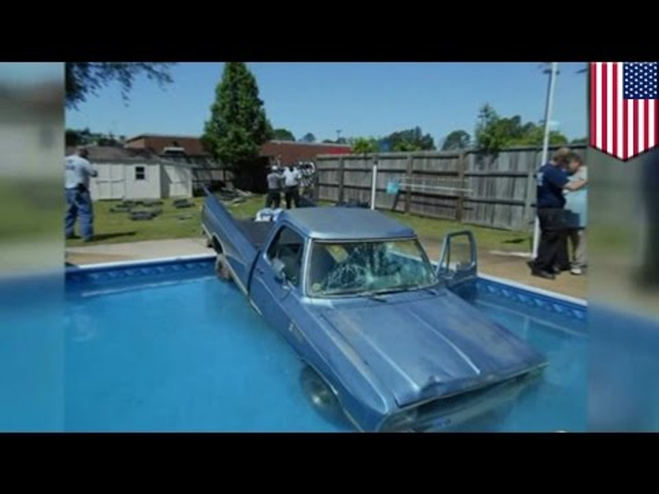 Dog driving car: Cute black lab crashes pickup truck into swimming pool - TomoNews