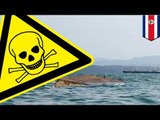 Toxic spill: Costa Rica declares emergency zone after ammonia nitrate barge sinks - TomoNews