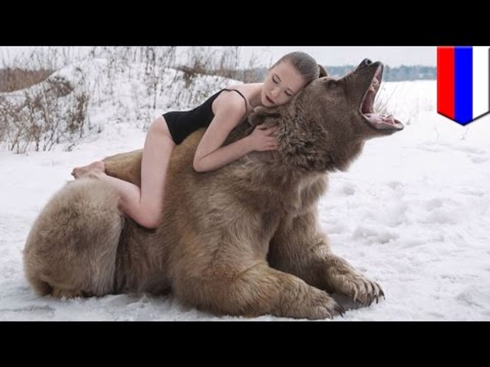 Sexy Russian models snuggle, spoon and pose with 1,400-lb bear in anti-hunting photoshoot