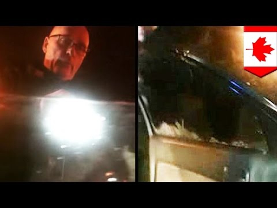 Canada cop smashes car window: 'uncooperative' suspect is pulled from car in criticized move