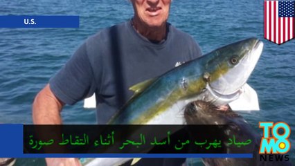 أسد البحر الجائع كاد أن يقتل صياد سمك غواص