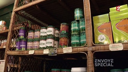 La stevia des industriels, un produit pas si naturel