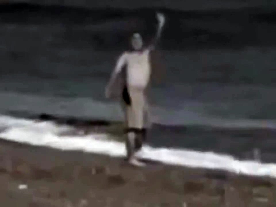 Killer Whale Attacks And Grabs The Man On The Beach. Warning; Graphic Content