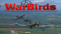 WarBirds Total Sims Online Combat Flying Game