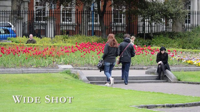 Basic Camera Shots for Filmmaking