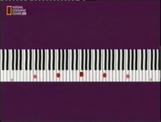 Ilusiones musicales: La escala de Shepard