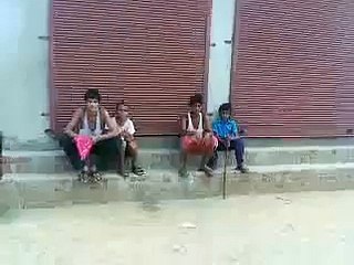 Pitbull Dog in Punjab Ph:8194965210