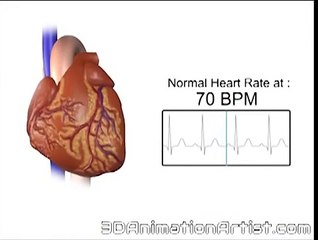 Normal Vs Accelerated Heart Rate