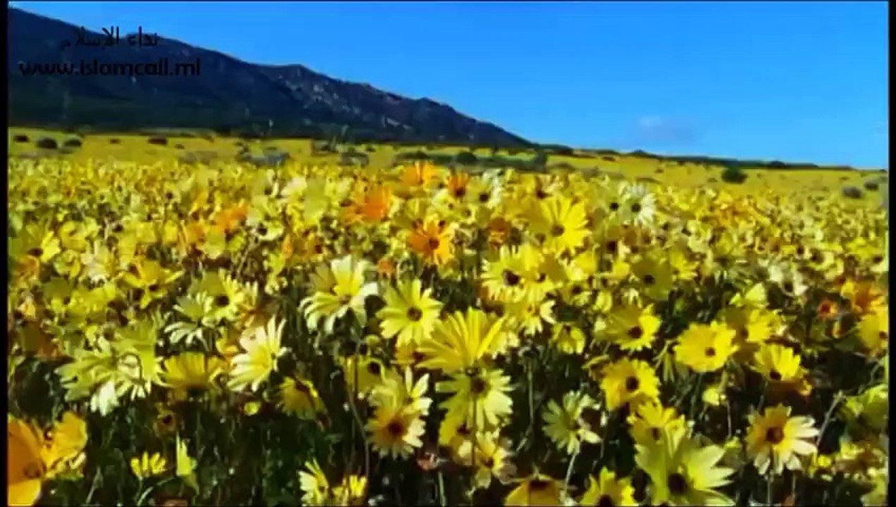 Tobah per Allah ki Rehmat | Maulana Tariq Jameel