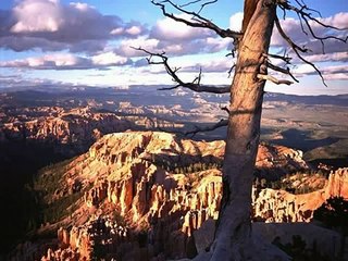 Ahmet Özhan - Yunus Diye