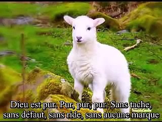 SAINT, SAINT, SAINT EST LE SEIGNEUR