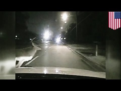 Deer hit by police car: police cruiser wrecked after it slams into stag in Jonesboro, Arkansas\