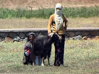 Stranén Êrivané 3 - Begé Min