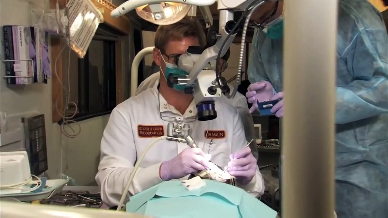 Endodontists Put Root Canal Patients at Ease