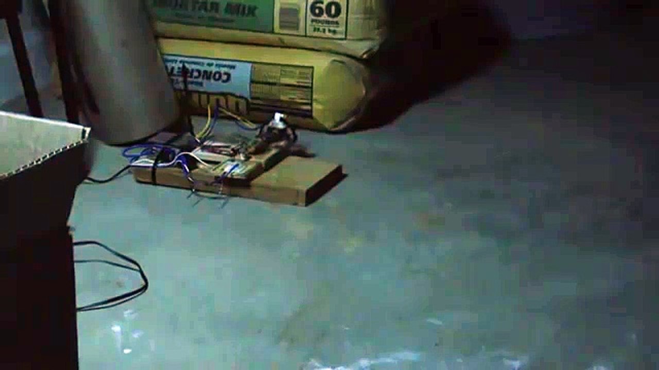 Trampa para ratas electrica