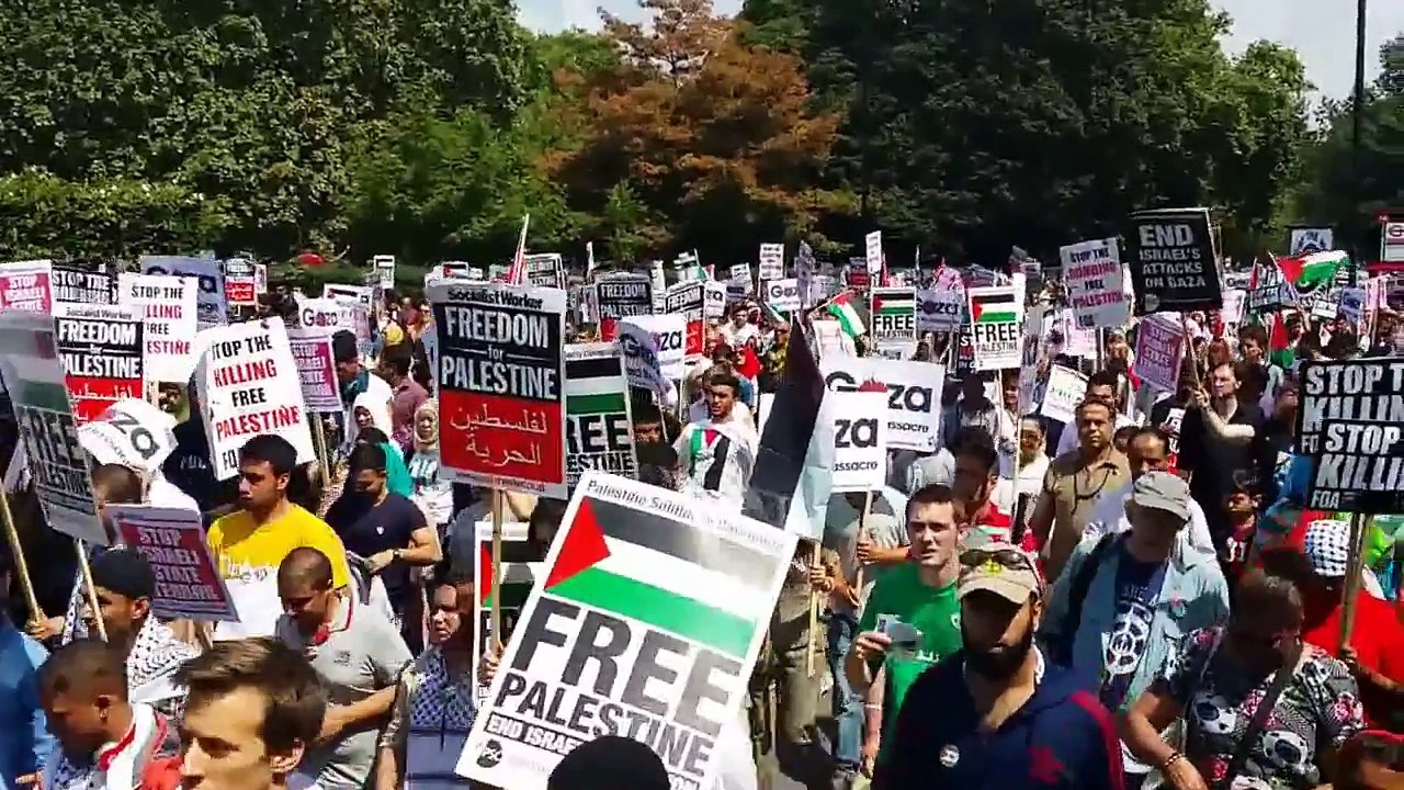 Free free palestine London 100,000 people protest against Israel - Pro Palestine 2014 demonstration