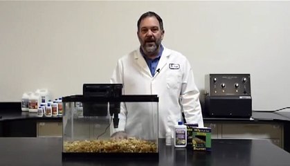 How to Fishless cycle - easily and quickly