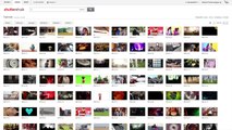 Lizenzfreie Stock Videos und Clips finden und kaufen (Review und Erklärung)