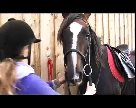 Step-by-step putting a bridle on a real pony and on your Crafty Pony toy!