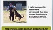German Shepherd History - German Shepherd Dog history