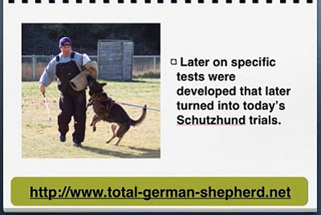 German Shepherd History - German Shepherd Dog history