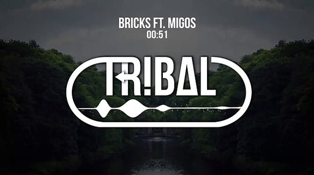 Carnage - Bricks ft. Migos (Victor Niglio Twerk VIP)