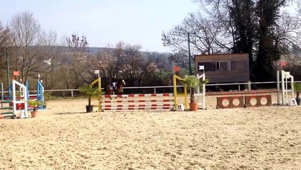 Une journée en concours CSO avec nous :)