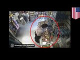 Caught on camera: Man robs store with a banana