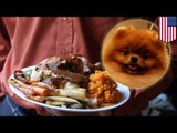 Crazy ex-boyfriend: California woman’s ex cooked her pomeranian and served it to her for dinner