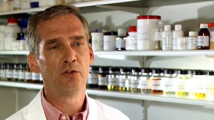 leovet Pflege-Tipp: Striegeln.