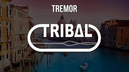 Dimitri Vegas, Like Mike, Martin Garrix - Tremor (Twerkillaz Twerk Remix)