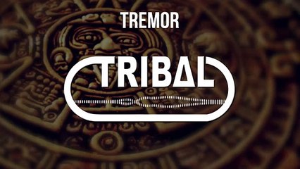 Dimitri Vegas, Martin Garrix, Like Mike - Tremor (Debroka Remix)