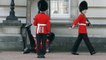 buckingham-palace-guard-slips-and-falls-in-front-of-hundreds