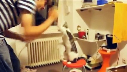 Позитив-Шоу. Выпуск #4.