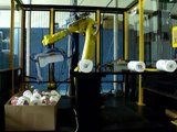 PRI Robotics --Demo of Robotic Vision Camera Systems