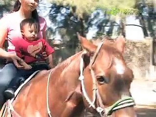 Fundación Oaxaqueña de Equinoterapia A.C.
