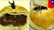 Weird Asian food: Hornet mooncake filled with larvae available at Taiwan’s Mid-Autumn Festival