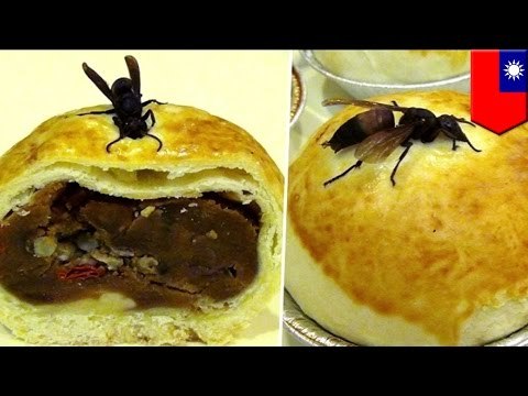 Weird Asian food: Hornet mooncake filled with larvae available at Taiwan’s Mid-Autumn Festival
