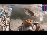 Humpback whale jetski collision: jetski riders spot whales and get too close in Iceland